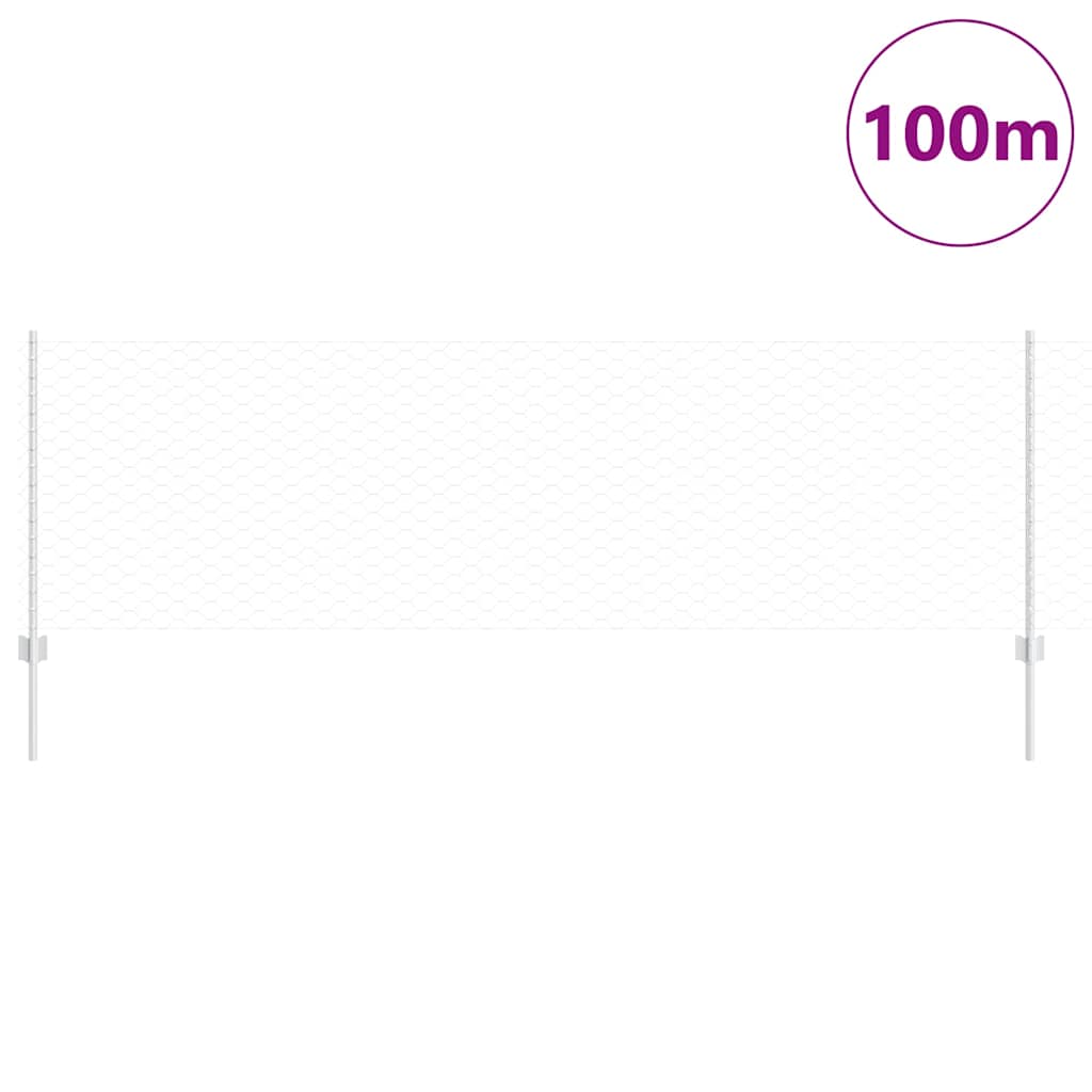 Zavarena žičana ograda 100 x 0,8 m (Š x V)
