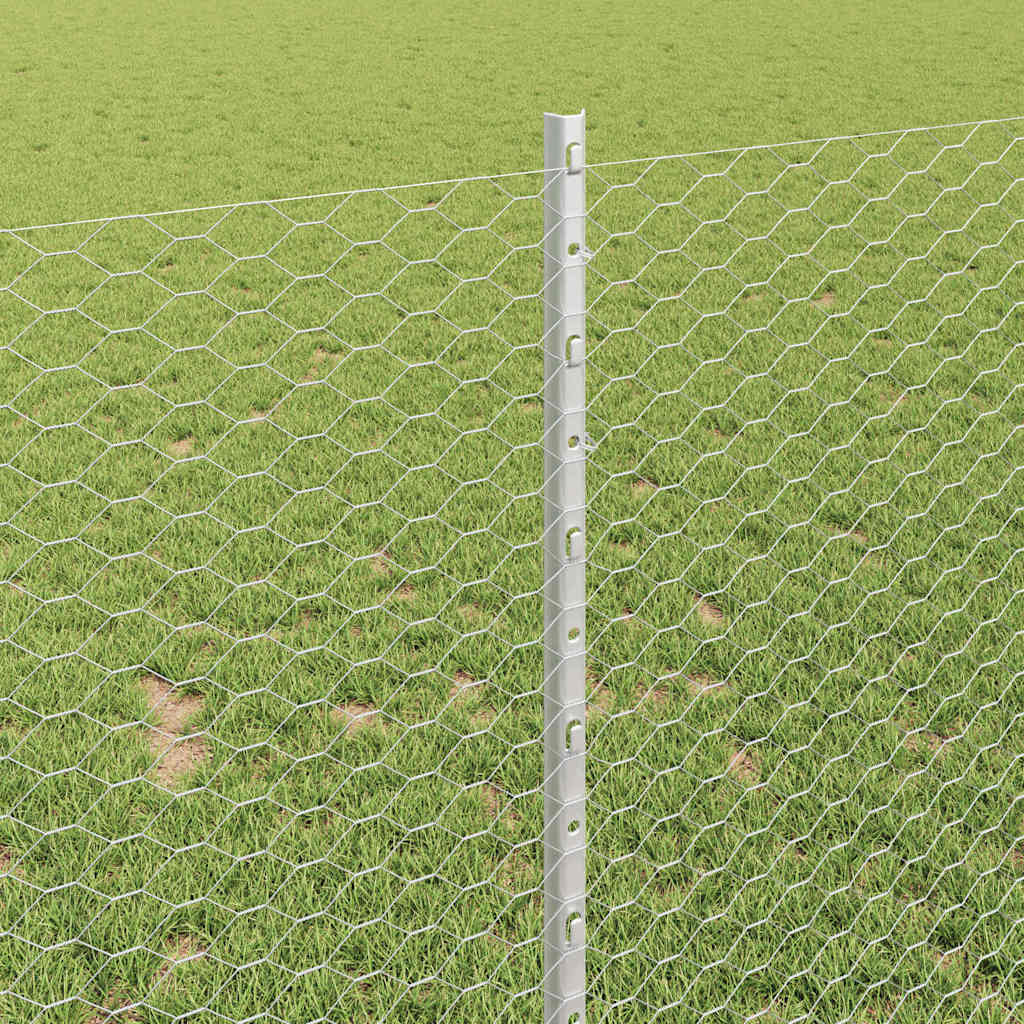 Zavarena žičana ograda 100 x 1 m (Š x V) Vruće pocinčani čelik