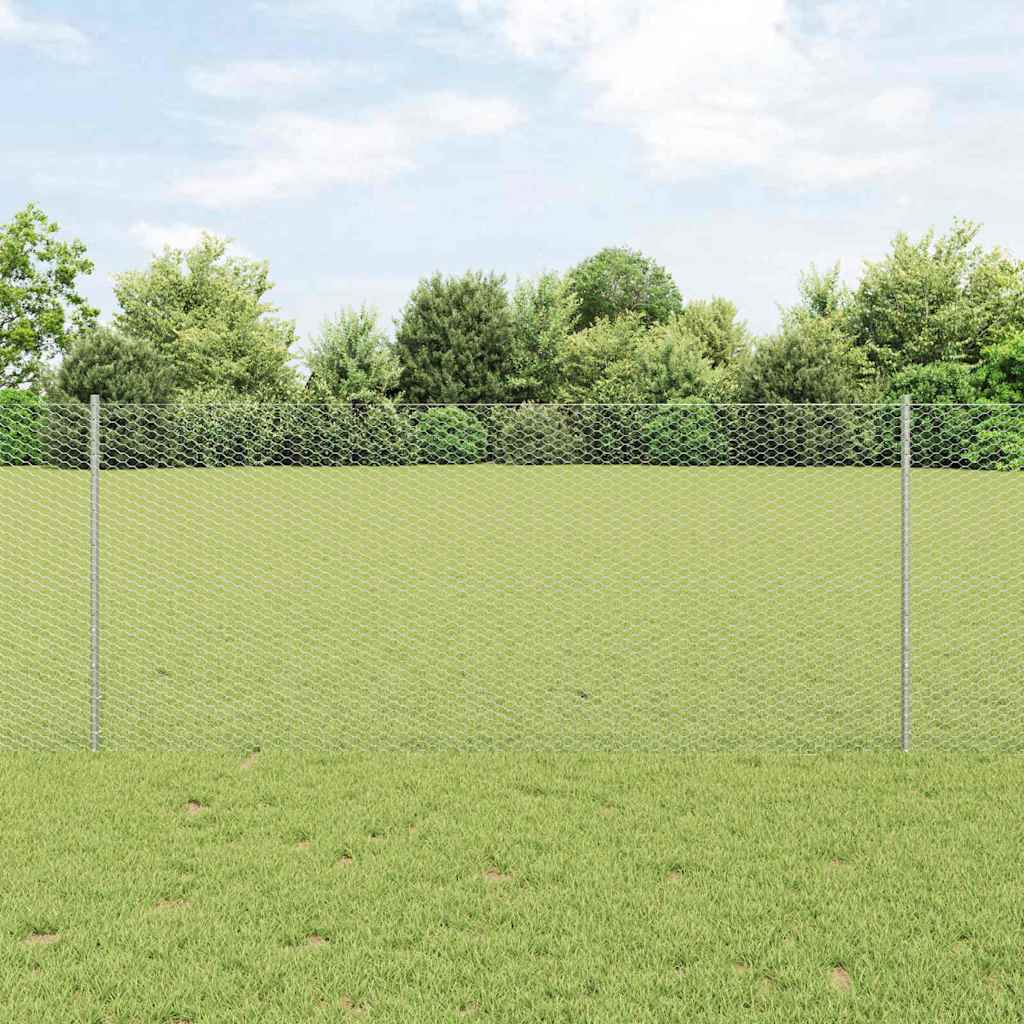 Zavarena žičana ograda 100 x 1 m (Š x V) Vruće pocinčani čelik