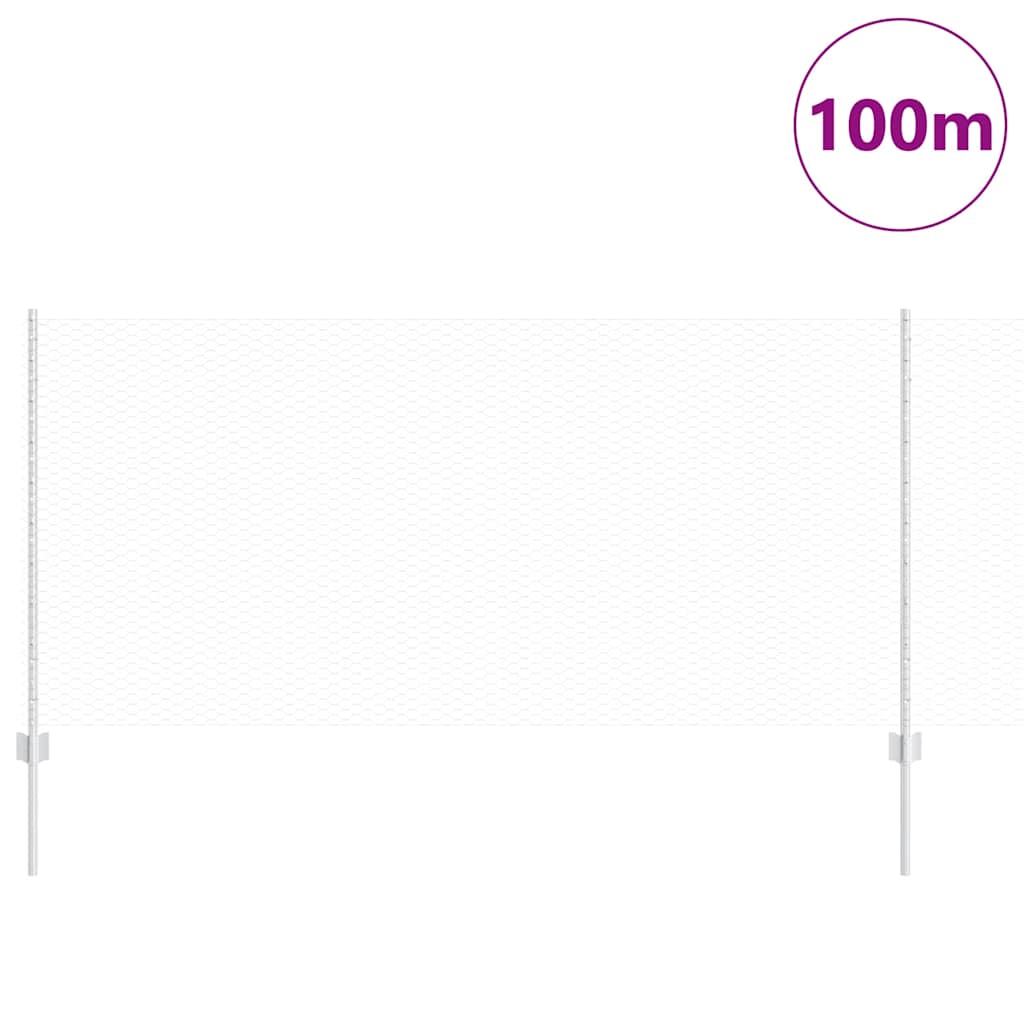 Zavarena žičana ograda 100 x 1 m (Š x V) Vruće pocinčani čelik