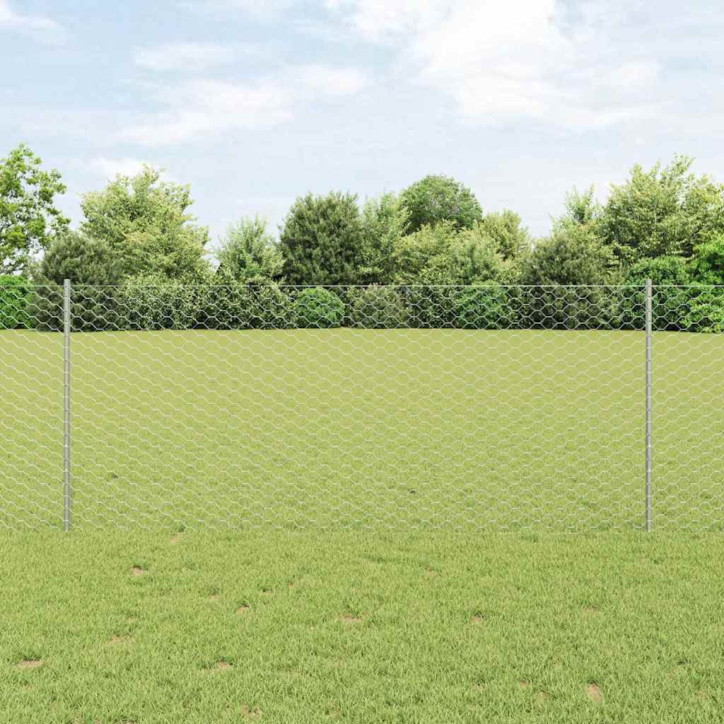 Zavarena žičana ograda 100 x 1 m (Š x V) Vruće pocinčani čelik