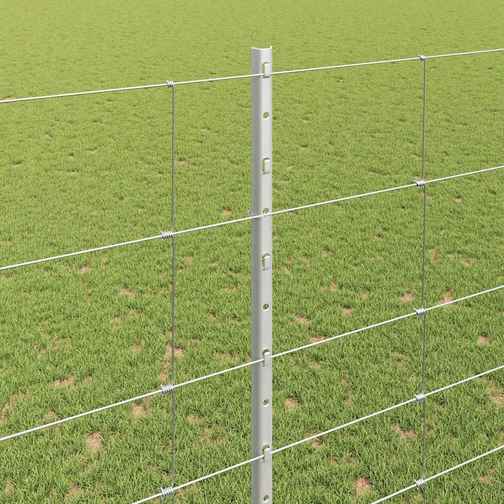 Divlja Ograde s Stupovima 25 x 1,6 m (Š x V)