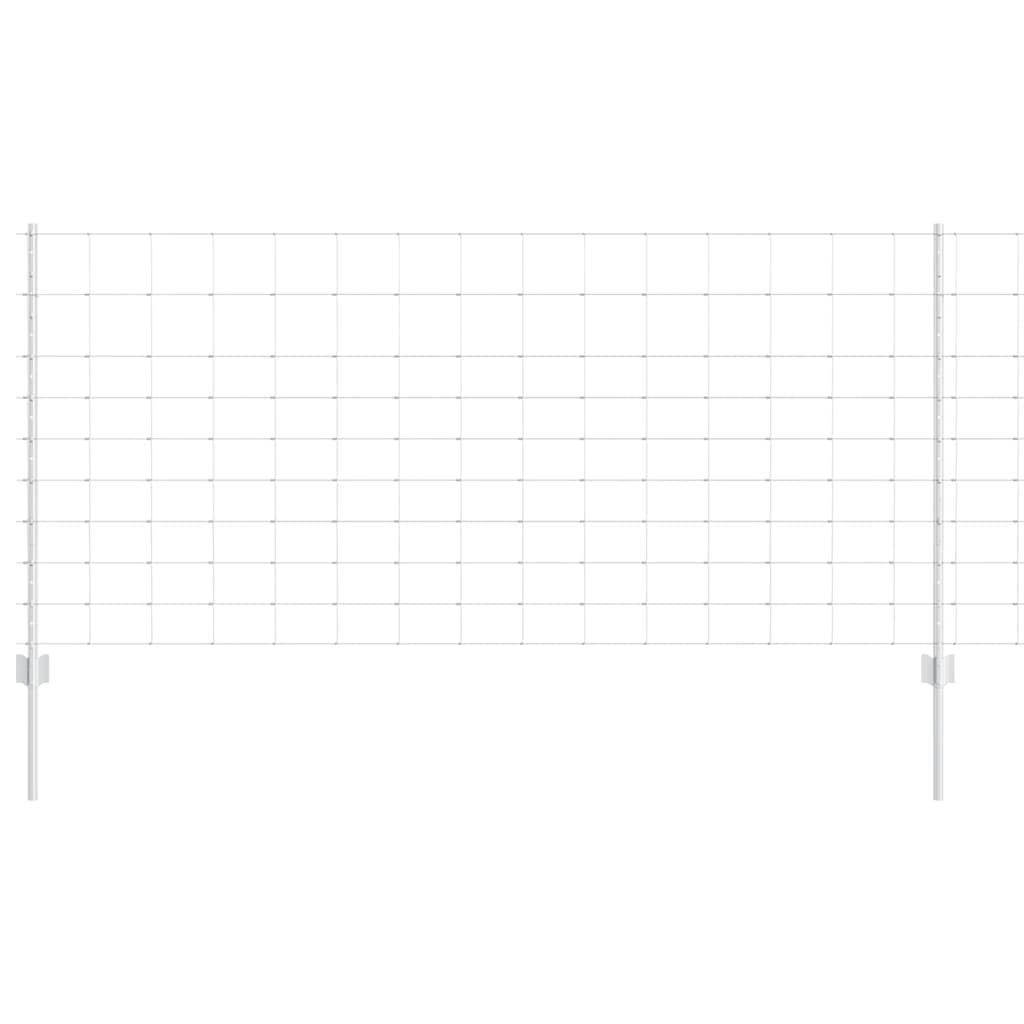 Divlja Ograde s Stupovima 50 x 1 m (Š x V)