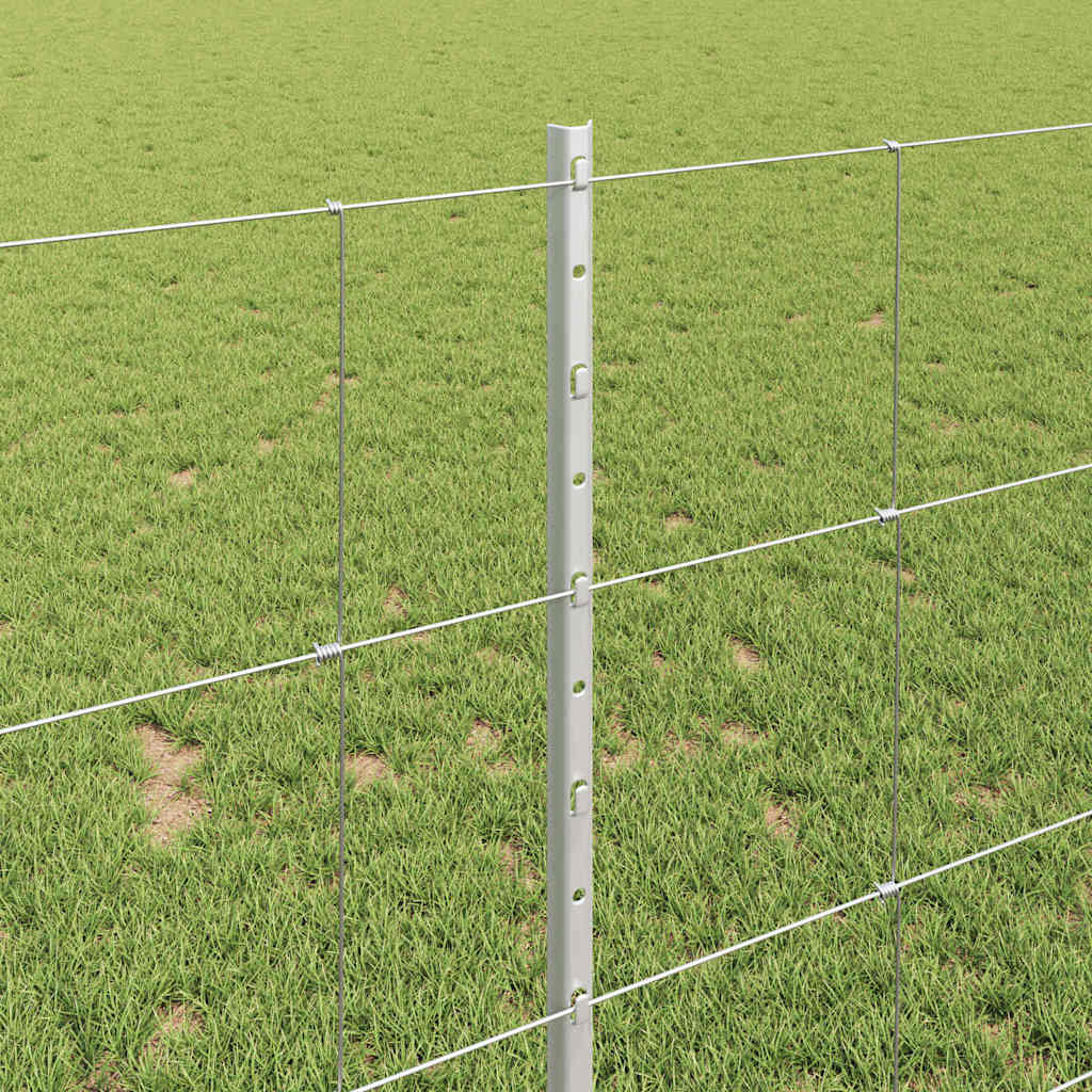 Divlja Ograde s Stupovima 100 x 1 m (Š x V)