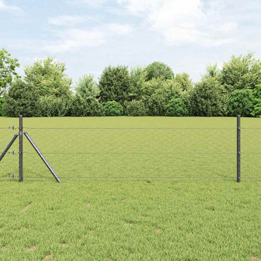 Heksagonalna ograda Siva 1,2 x 10 m PVC
