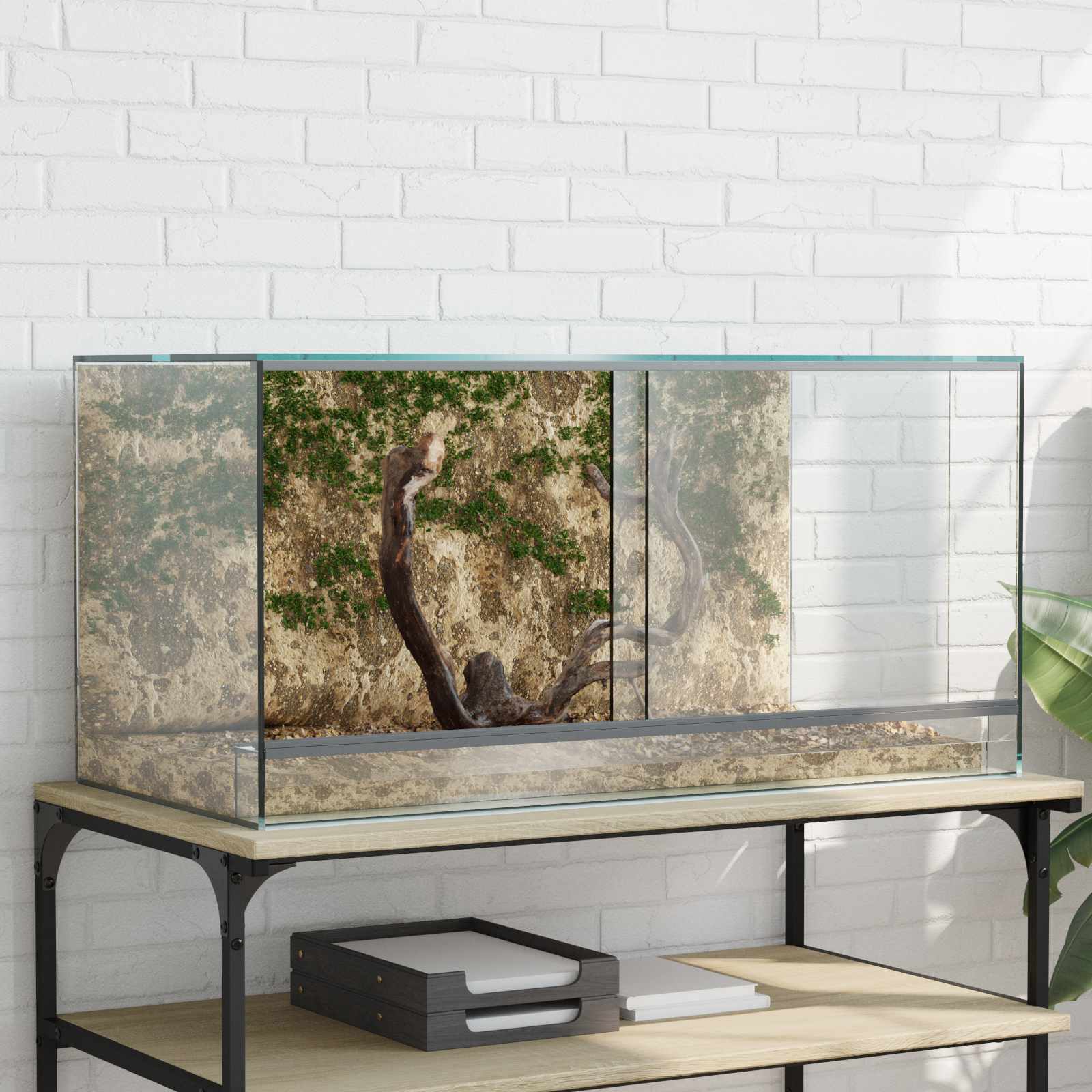 Terarij s pohranom *Transparent*an 80 x 40 x 40 cm Stakl