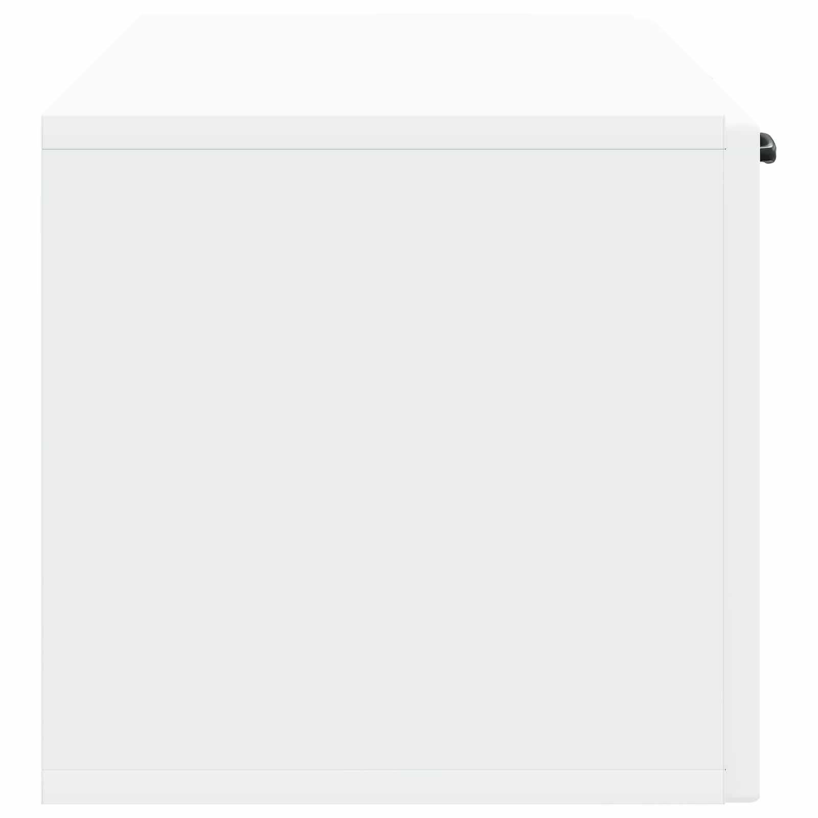 TV ormar za zid Zidne Bijela 98 x 31 x 30 cm Konstruirano drvo