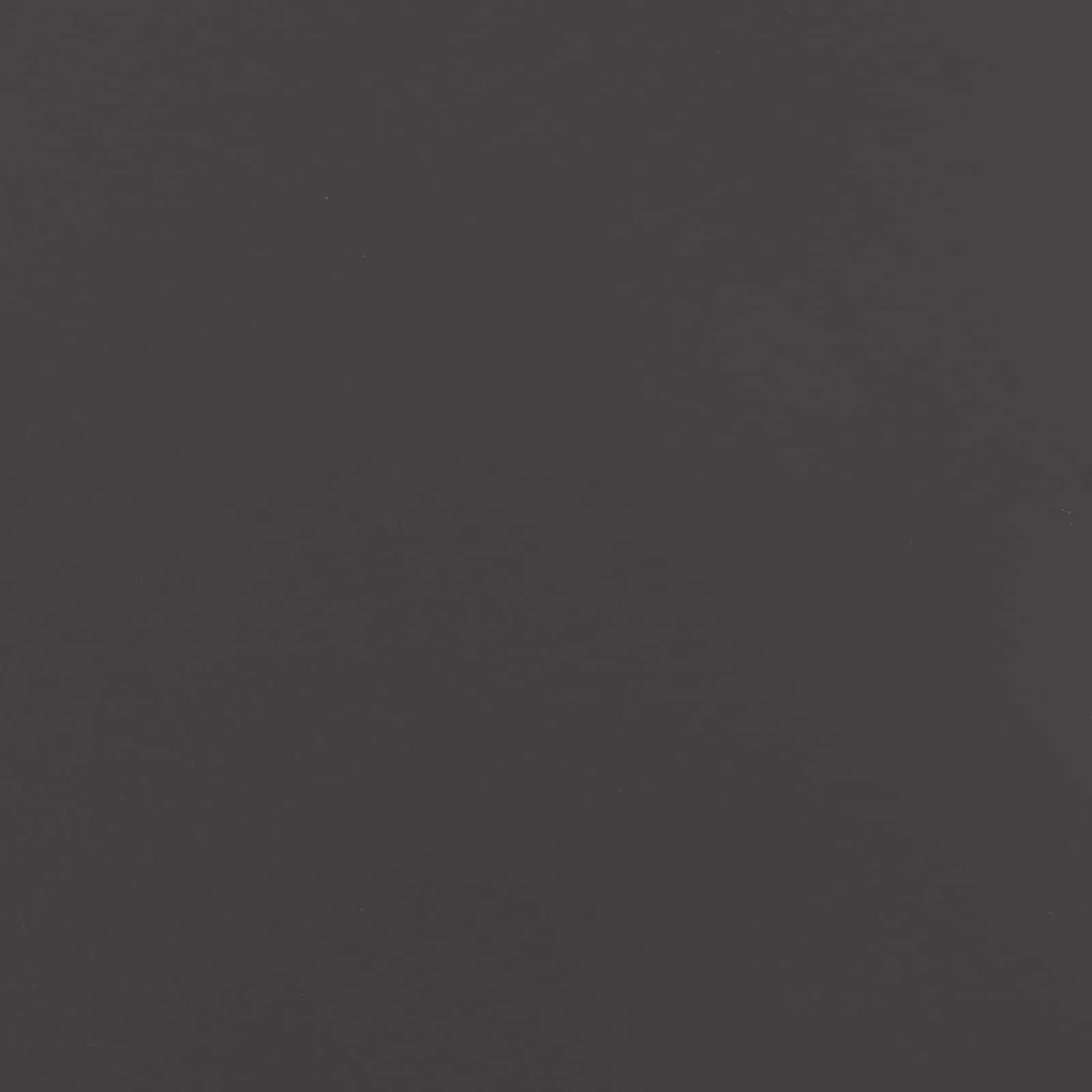 Vrata za pse 2 pcs Crna 80 x 100 cm Cinkani čelik