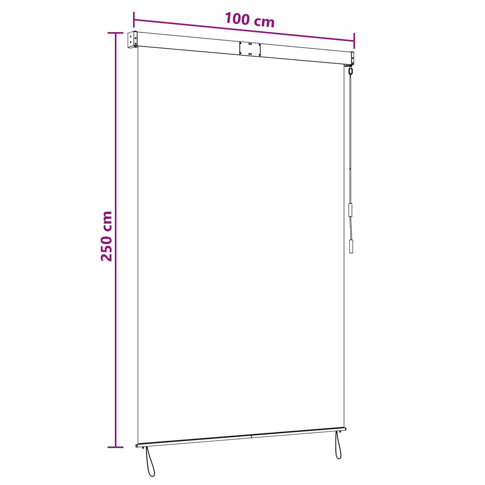 Rolo zavjesa Antracit i bijelo 100 x 250 cm Tkanina i aluminij