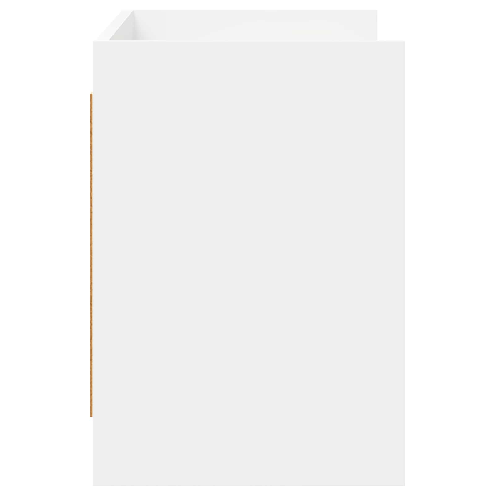 TV ormar 100 x 33 x 47 cm Bijela Konstruirano drvo