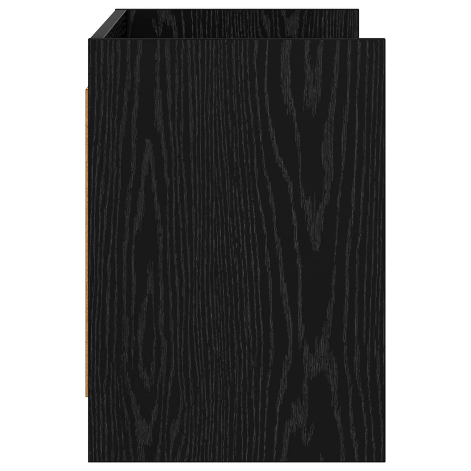 TV ormar 100 x 33 x 47 cm Crni hrast Konstruirano drvo
