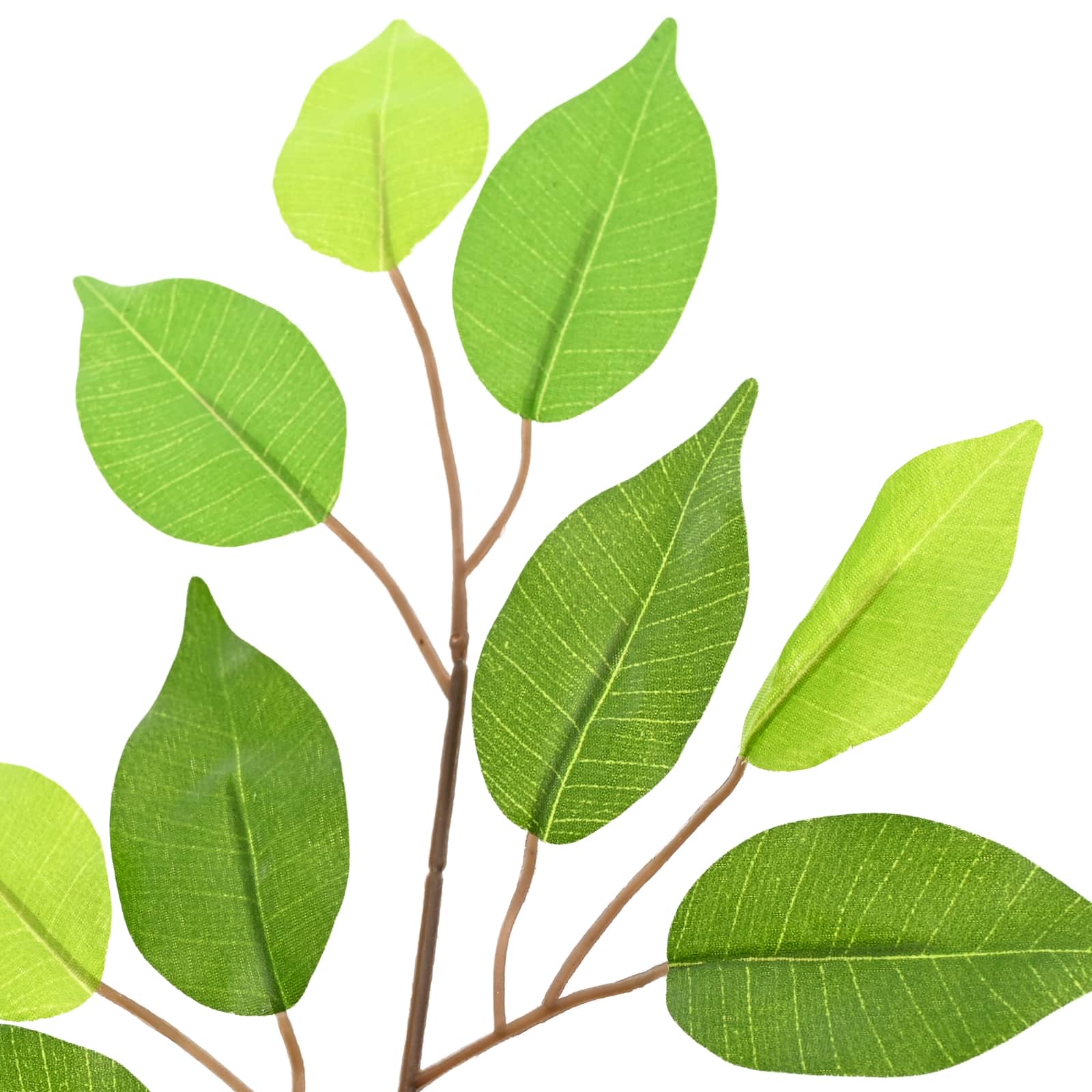 Umjetna ficus biljka Zelena 73 x 16 x 60 cm Tkanina i drvo