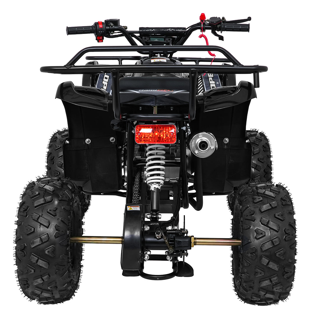 Quad na benzin WILDPEAK 110cc - crni