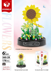 Blossom set with lampshade 178el.