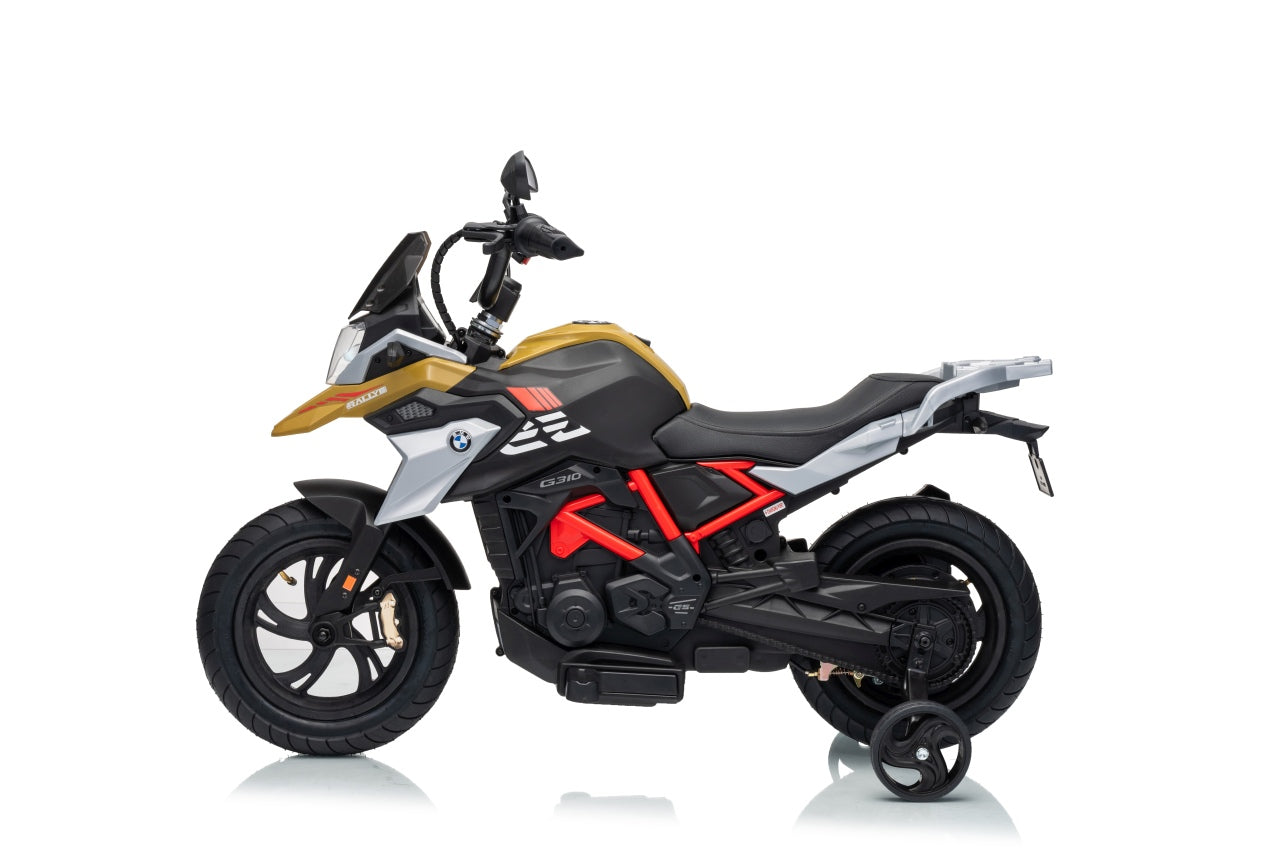 Vehicle Motor BMW G310GS Champagne