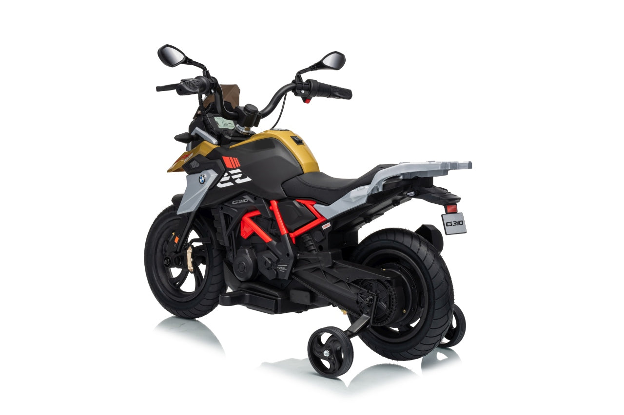 Vehicle Motor BMW G310GS Champagne
