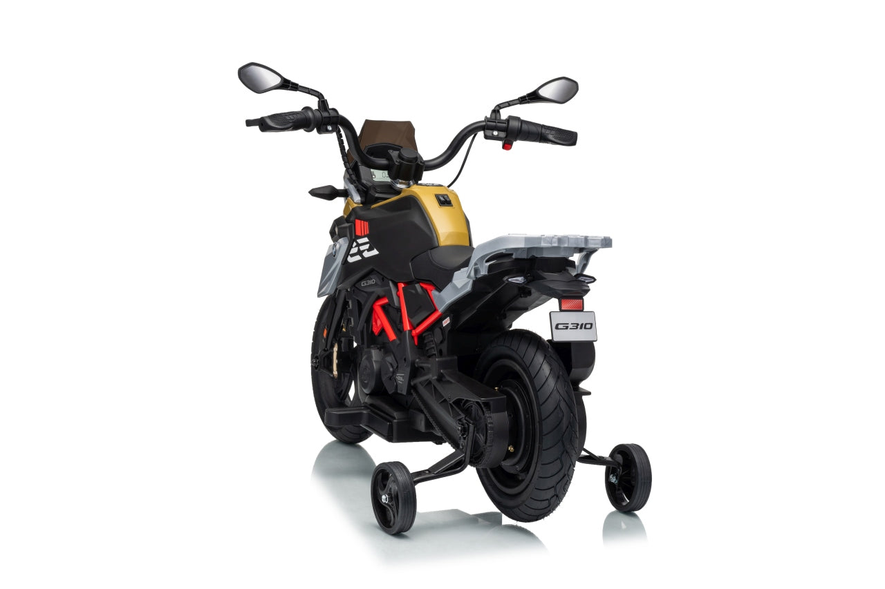 Vehicle Motor BMW G310GS Champagne