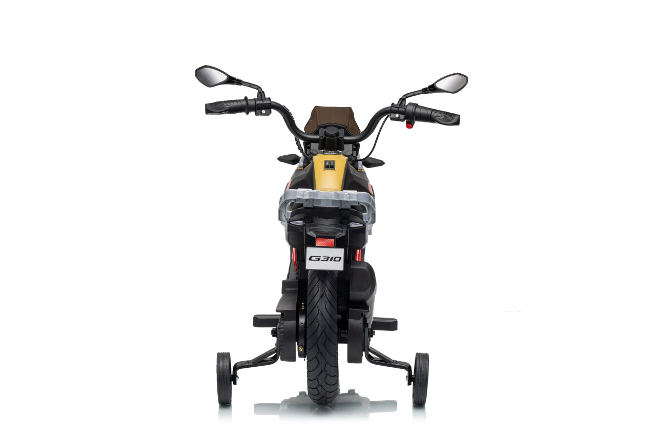 Vehicle Motor BMW G310GS Champagne