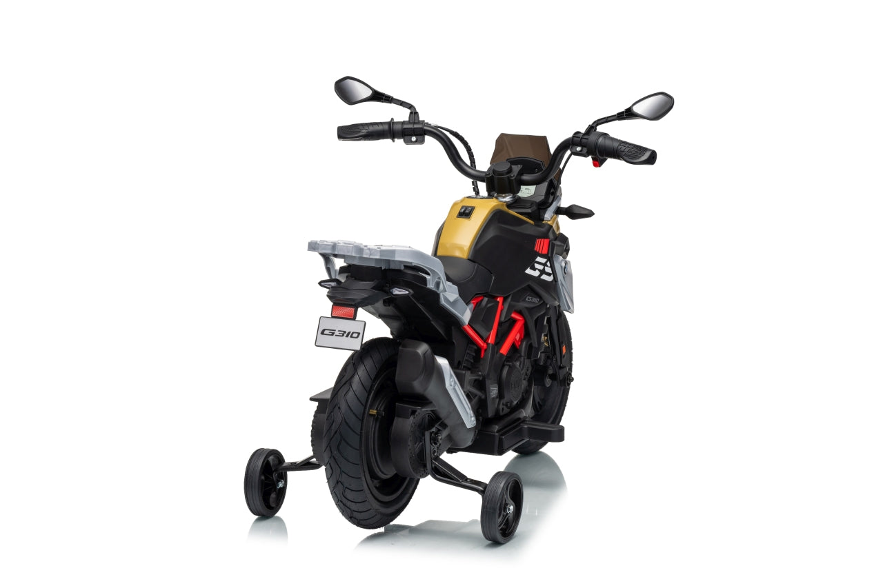 Vehicle Motor BMW G310GS Champagne