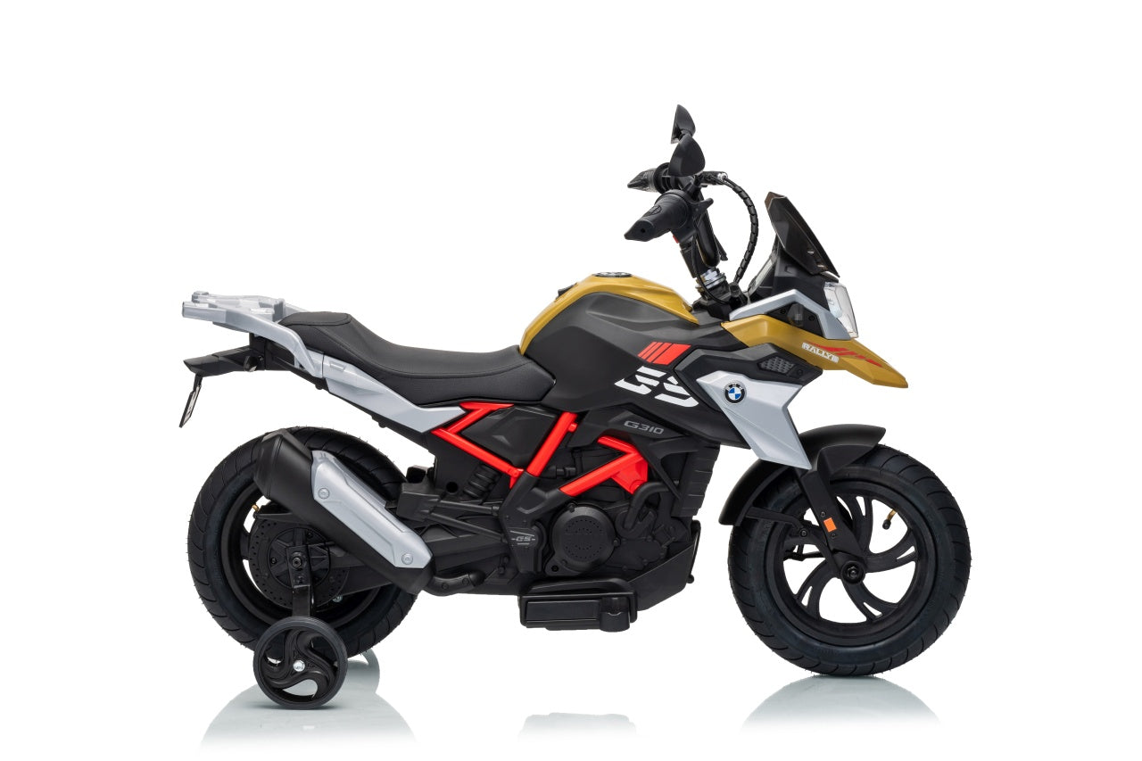 Vehicle Motor BMW G310GS Champagne