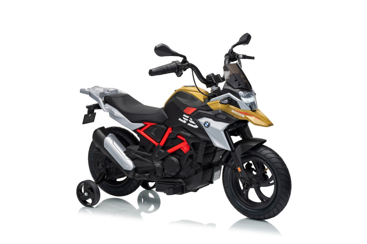 Vehicle Motor BMW G310GS Champagne