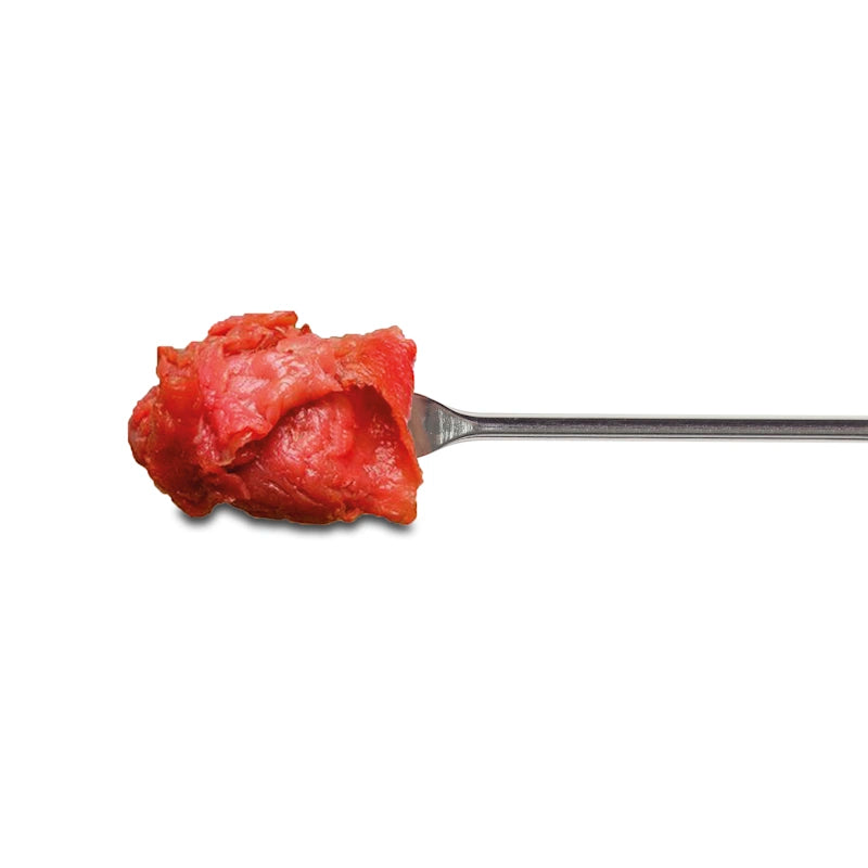 Komplet vilic za fondue