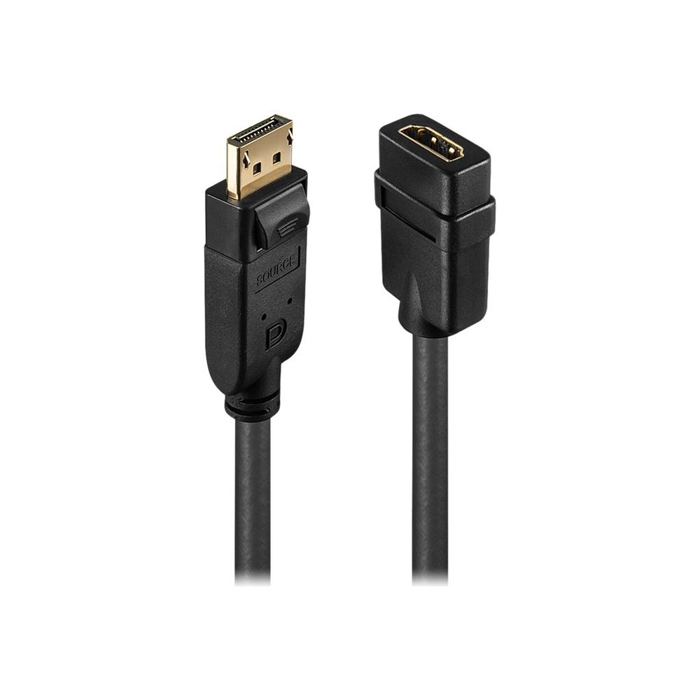 Lindy 41005 prilagodnik za video kabel 0,15 m DisplayPort HDMI Crno