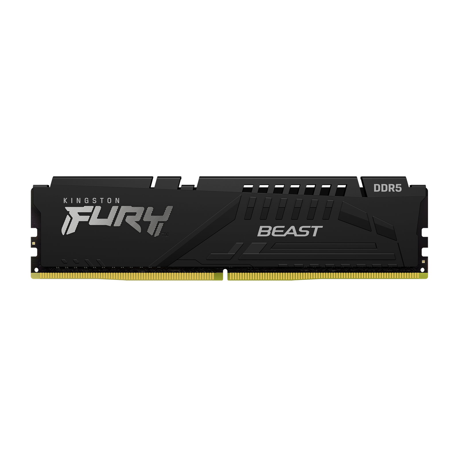 Kingston Technology FURY Beast memorijski modul 8 GB 1 x 8 GB DDR5