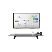 Digitalna olovka CTOUCH CANVAS WRITER
