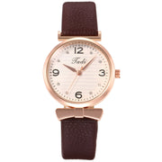 Sat PH-13001 - Smeđi KP13001