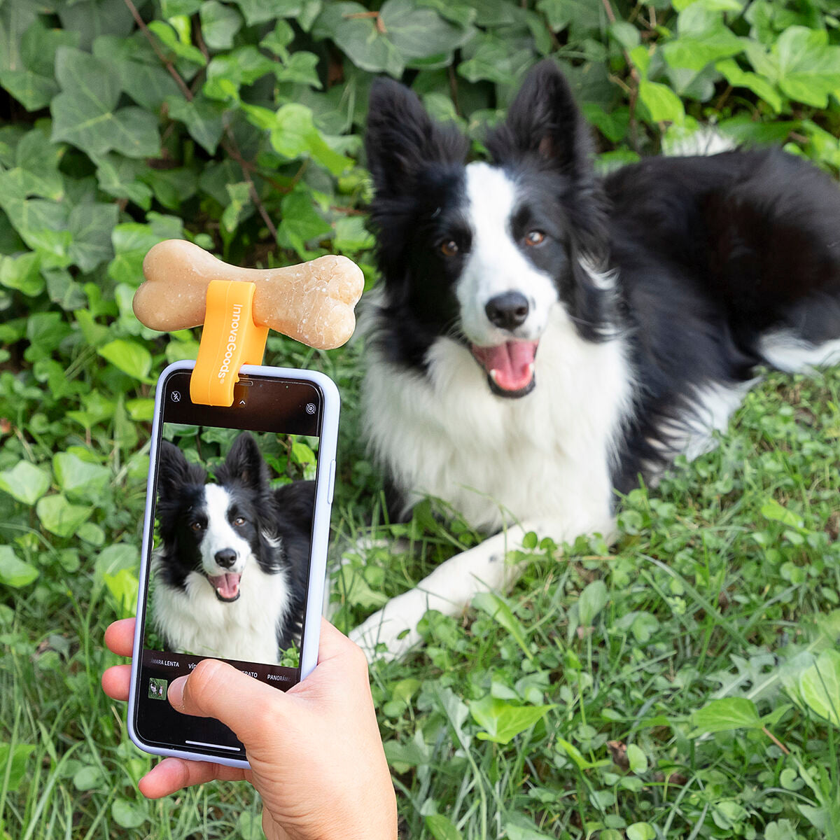 Hvataljka za selfie kućnih ljubimaca Pefie InnovaGoods