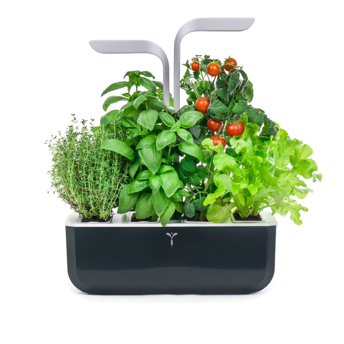 Veritable® SMART Soft Black Kučni Vrt