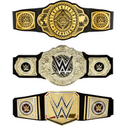 WWE HNY41 pribor za akcijske i kolekcionarske figurice Plastika