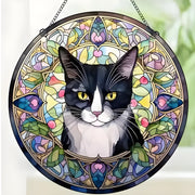Lapač Sunca - Cat KP31535