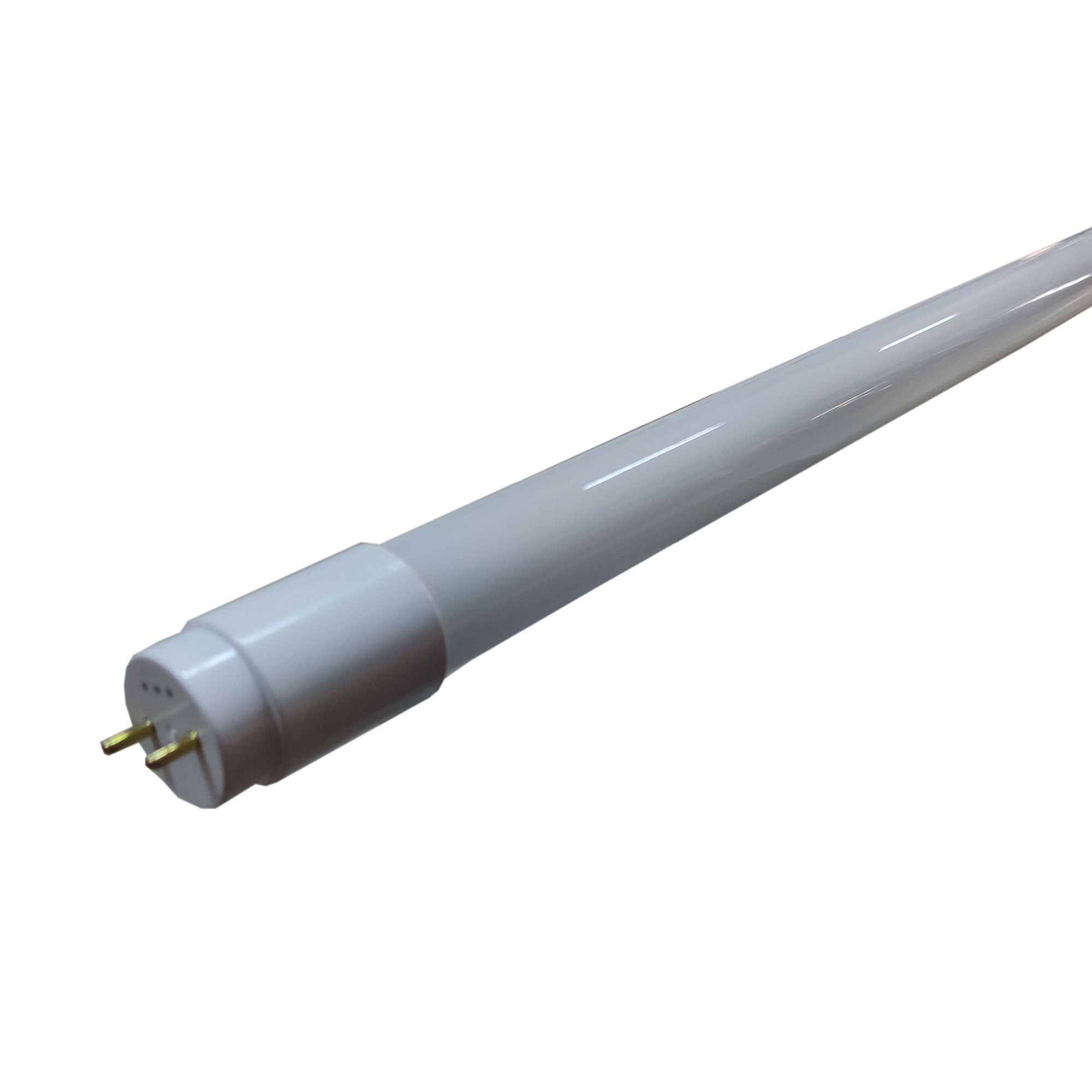 LED cijev T8 150 24W 6400K jednostrano Lambario