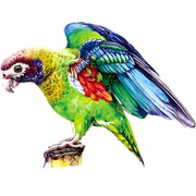 Drvene puzzle - Macaw / L KP22011