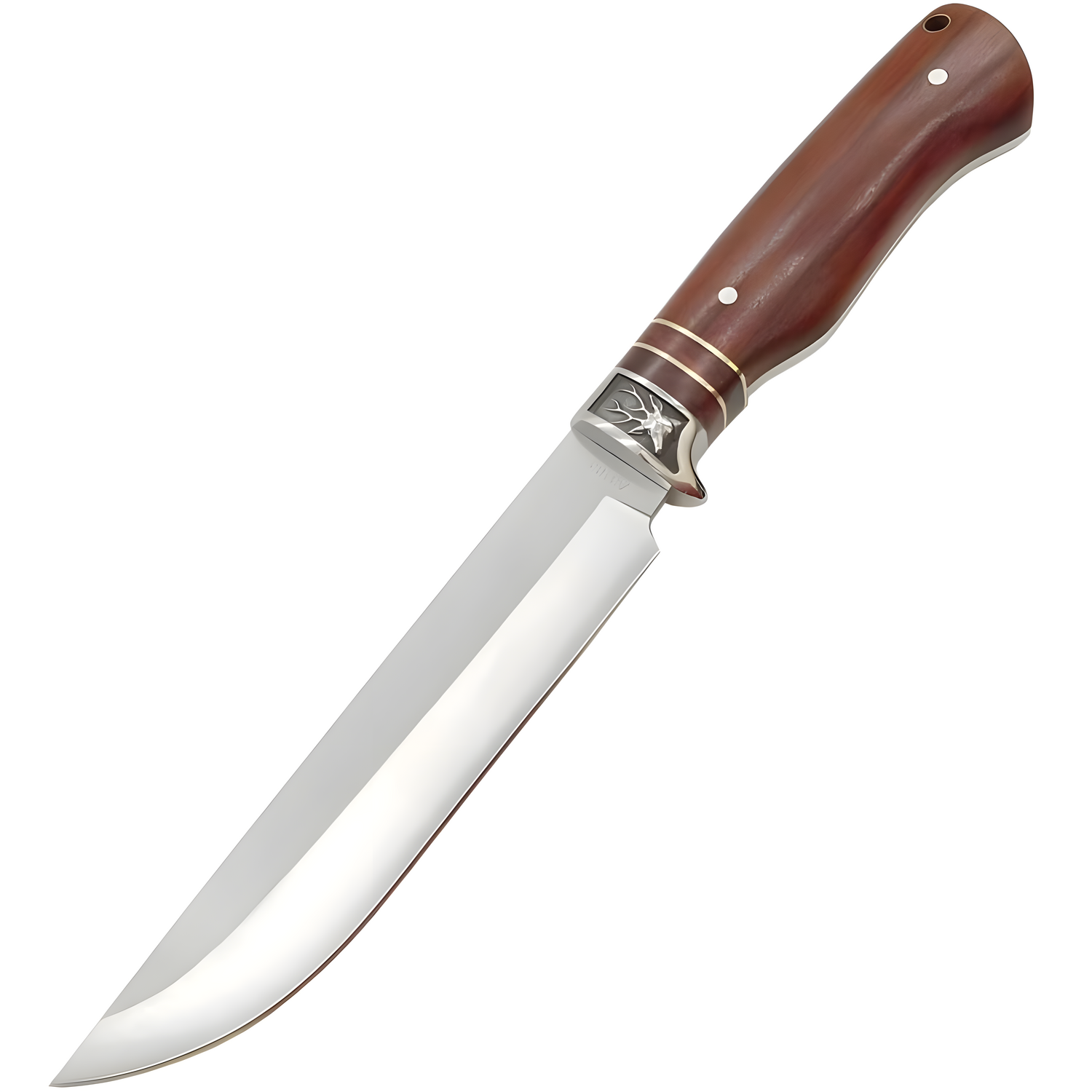 Vanjski nož A3183 - Smeđa / 31cm KP18193