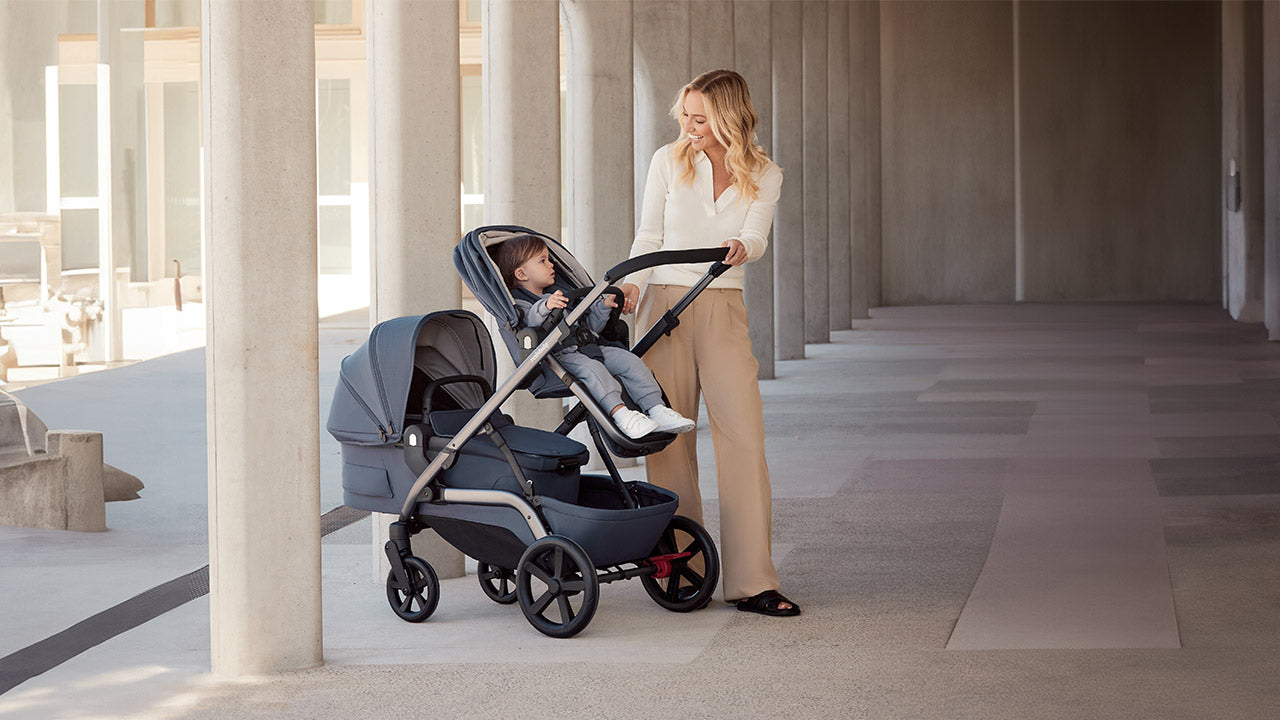 REDSBABY NUVO Twin dječja kolica 2u1 Gun Metal, Ivy B
