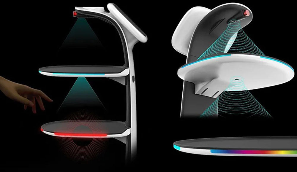 Robot konobar T8