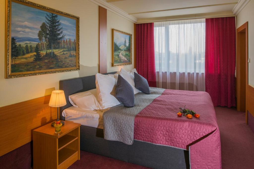 Praga, 2, 3 ali 4 nočitve za 2 osebi z zajtrkom ali polpenzionom in wellnessom v Top Hotel****