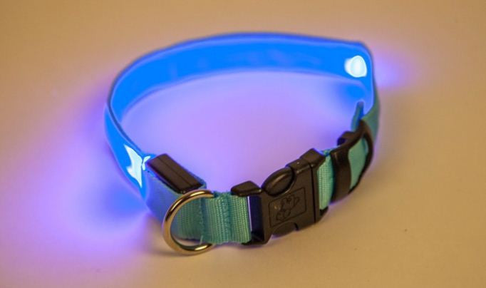 LED svetleča ovratnica za pse v izbrani velikosti